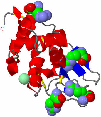 Image Asym./Biol. Unit