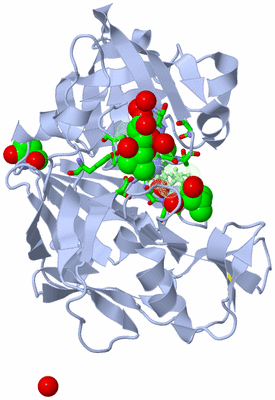 Image Asym./Biol. Unit - sites