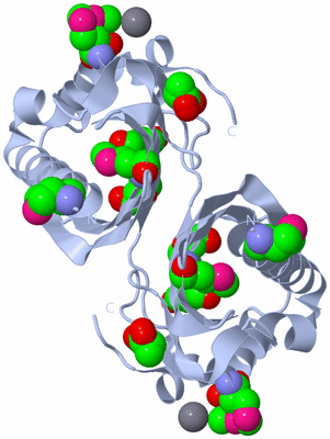 Image Biological Unit 1