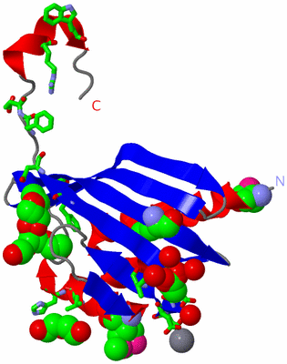 Image Asym. Unit - sites