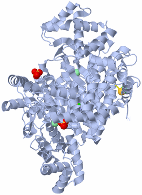 Image Biological Unit 1