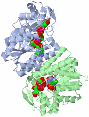 Image Asym./Biol. Unit