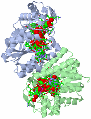 Image Asym./Biol. Unit - sites