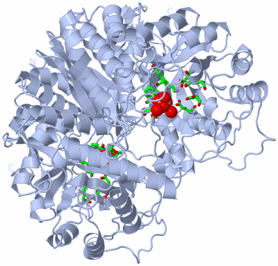 Image Biol. Unit 1 - sites