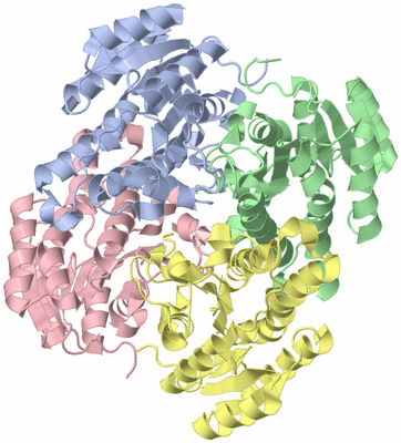 Image Asym./Biol. Unit