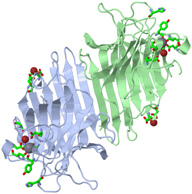 Image Asym./Biol. Unit - sites