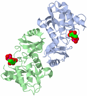 Image Asym./Biol. Unit