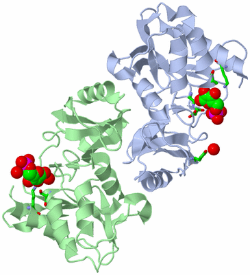 Image Asym./Biol. Unit - sites