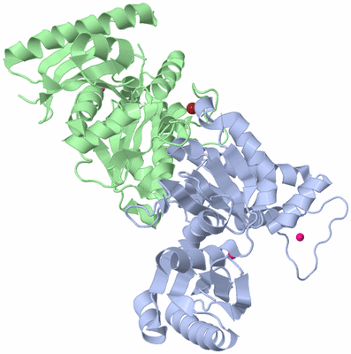 Image Biological Unit 1