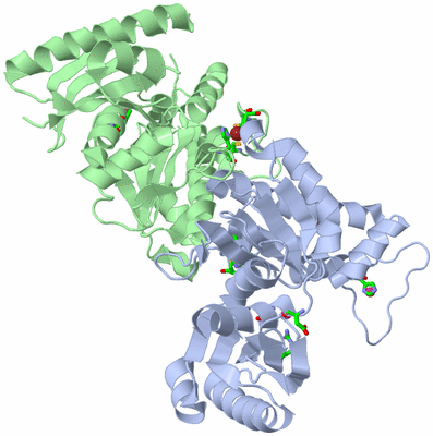 Image Biol. Unit 1 - sites