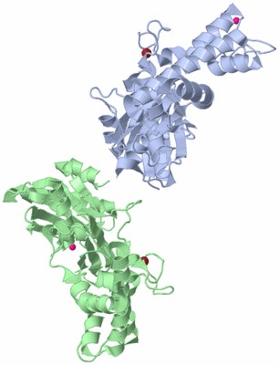 Image Biological Unit 3