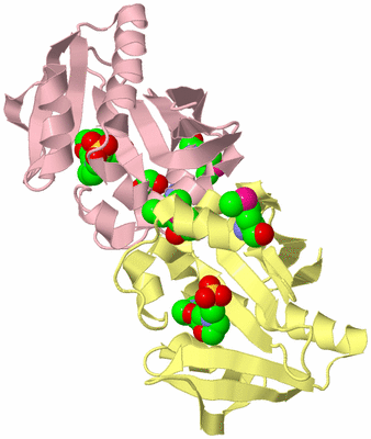 Image Biological Unit 2