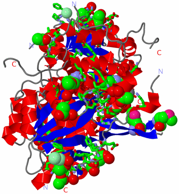 Image Asym./Biol. Unit - sites