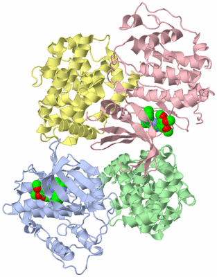 Image Asymmetric Unit