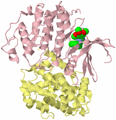 Image Biological Unit 2