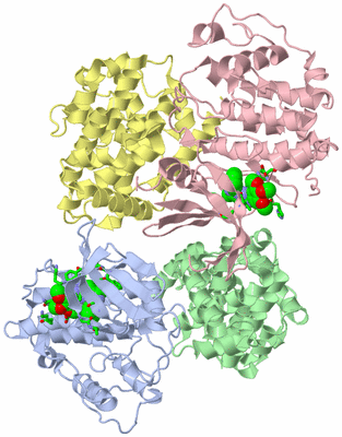 Image Asym. Unit - sites