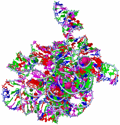 Image Asym./Biol. Unit