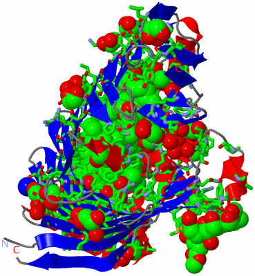 Image Asym. Unit - sites