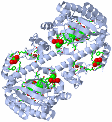 Image Biol. Unit 1 - sites