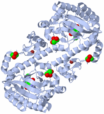 Image Biological Unit 1