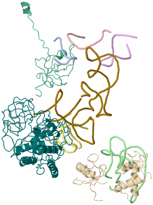 Image Asym./Biol. Unit