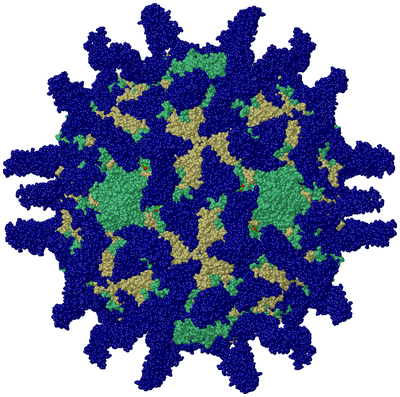 Image Biol. Unit 1 - sites