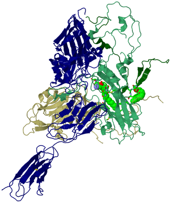 Image Asym. Unit - sites