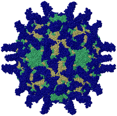 Image Biol. Unit 1 - sites