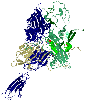 Image Asym. Unit - sites