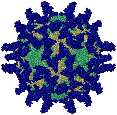 Image Biol. Unit 1 - sites