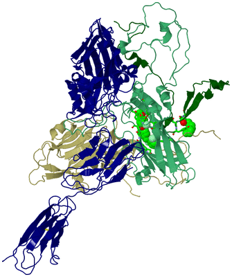 Image Asym. Unit - sites