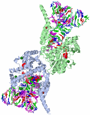 Image Biological Unit 1