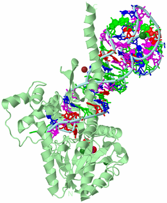 Image Biological Unit 3