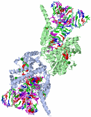 Image Asym. Unit - sites