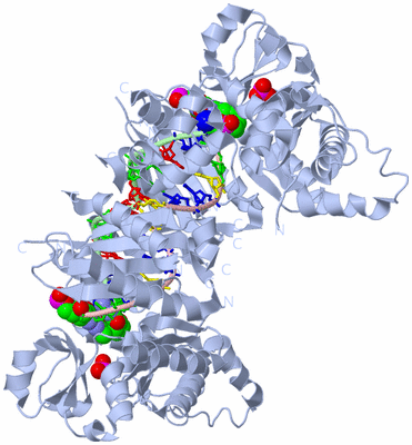 Image Biological Unit 1