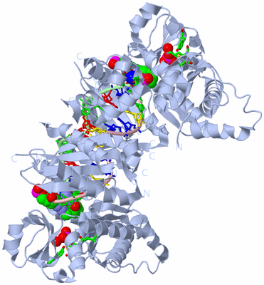 Image Biol. Unit 1 - sites