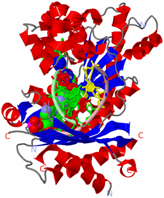 Image Asym. Unit - sites