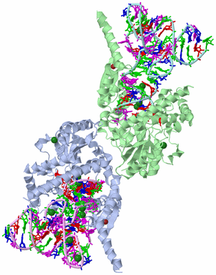 Image Biological Unit 1