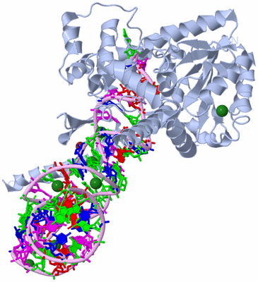 Image Biological Unit 2