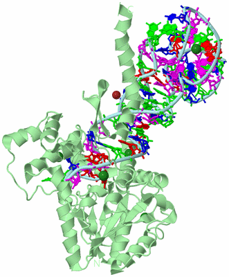 Image Biological Unit 3