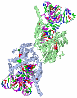 Image Biological Unit 1