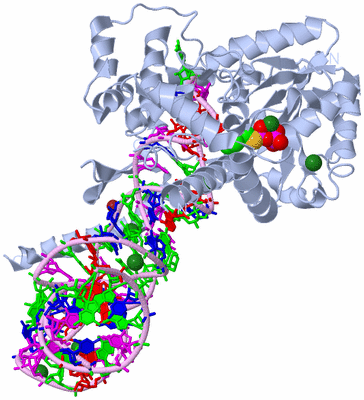 Image Biological Unit 2