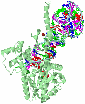 Image Biological Unit 3