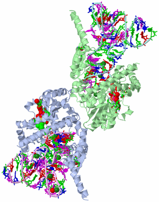 Image Asym. Unit - sites