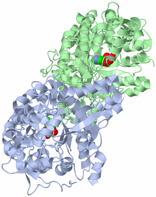 Image Asym./Biol. Unit