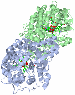 Image Asym./Biol. Unit - sites