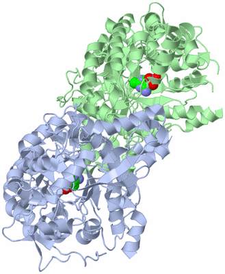 Image Asym./Biol. Unit