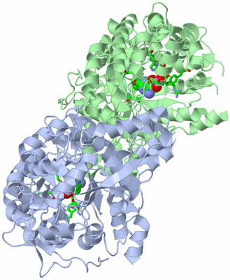 Image Asym./Biol. Unit - sites