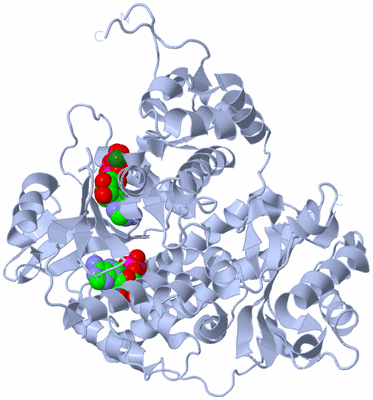 Image Biological Unit 1