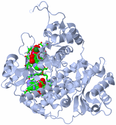 Image Biol. Unit 1 - sites